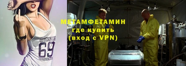 индика Верхний Тагил