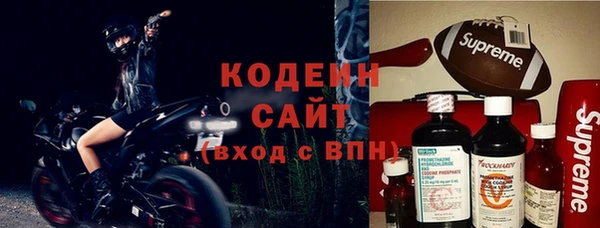 индика Верхний Тагил