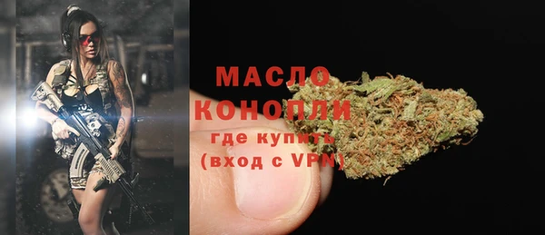 индика Верхний Тагил