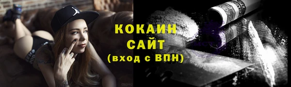индика Верхний Тагил