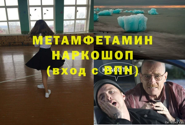 индика Верхний Тагил
