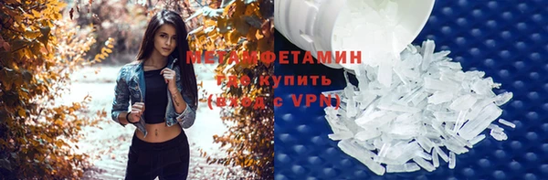 индика Верхний Тагил