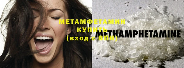 индика Верхний Тагил