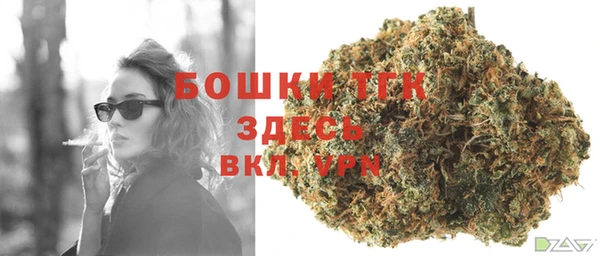 индика Верхний Тагил