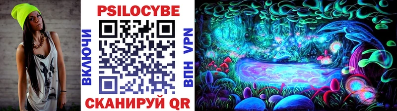 купить наркоту  Старый Оскол  Галлюциногенные грибы Psilocybine cubensis 